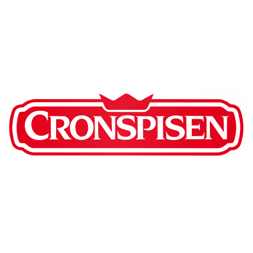 Cronspisen Kaminofen Kamin Ersatzteile Cronspisen